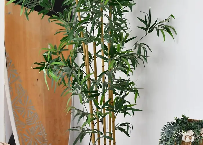 Surf House & Surf School * コラレホ