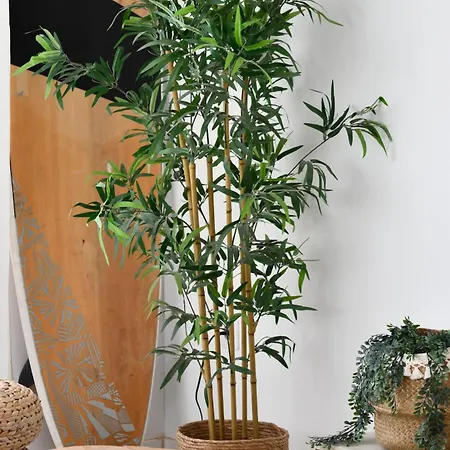 Surf House & Surf School * Corralejo